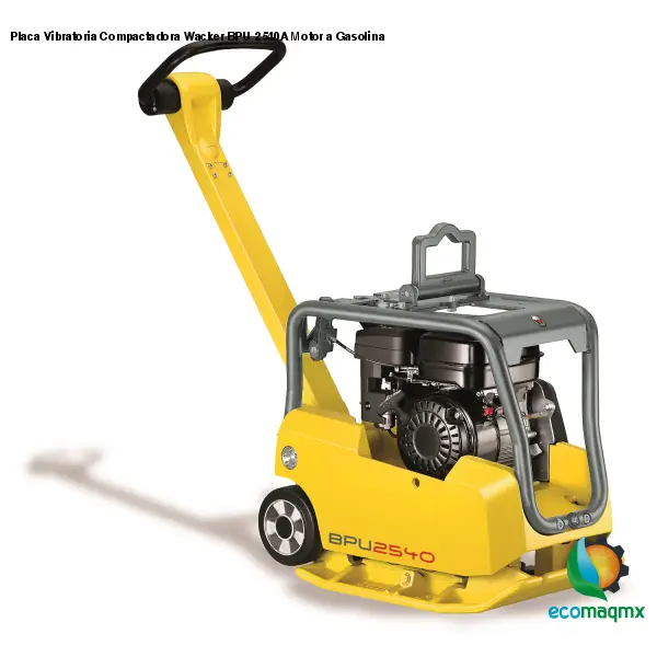 Placa Vibratoria Compactadora Wacker BPU 2540A Motor