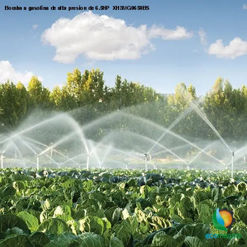 Bomba a gasolina de alta presion de 6.5HP XH3MG0650BS