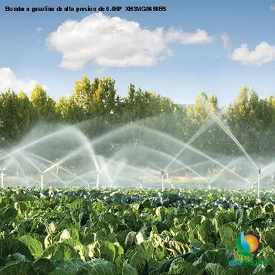 Bomba a gasolina de alta presion de 6.5HP XH3MG0650BS