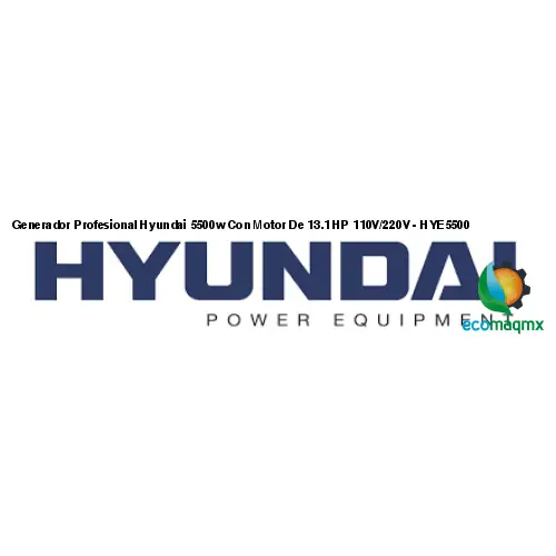 Generador Profesional Hyundai 5500w Con Motor De 13.1 HP