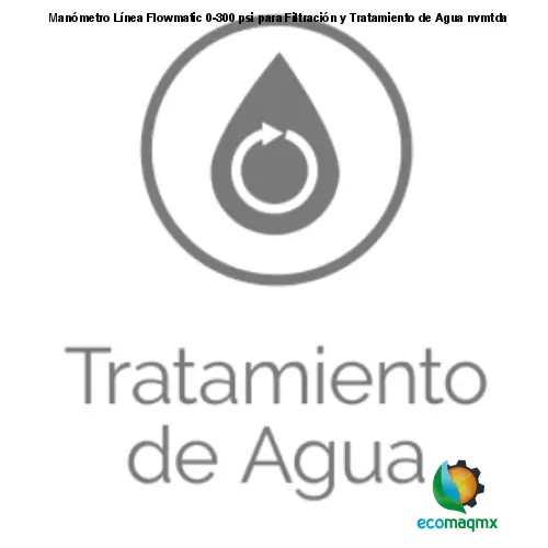 Manómetro Línea Flowmatic 0-300 psi para Filtración y