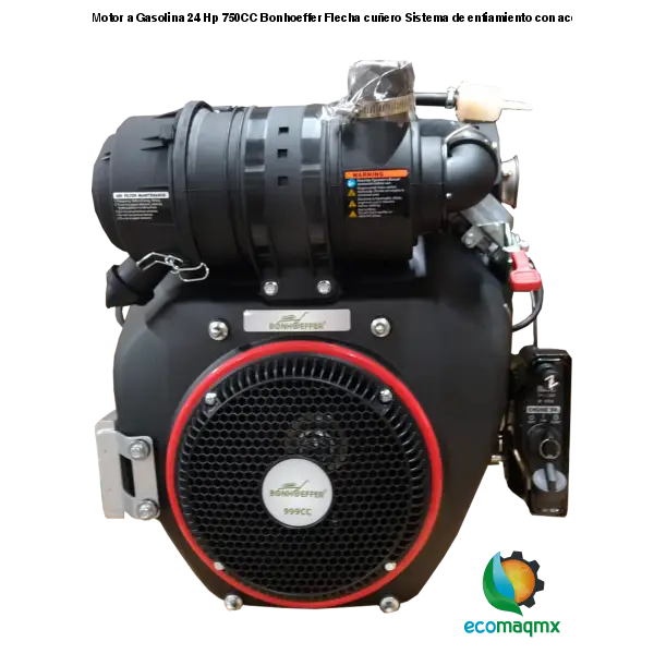 Motor a Gasolina 24 Hp 750CC Bonhoeffer Flecha cuñero