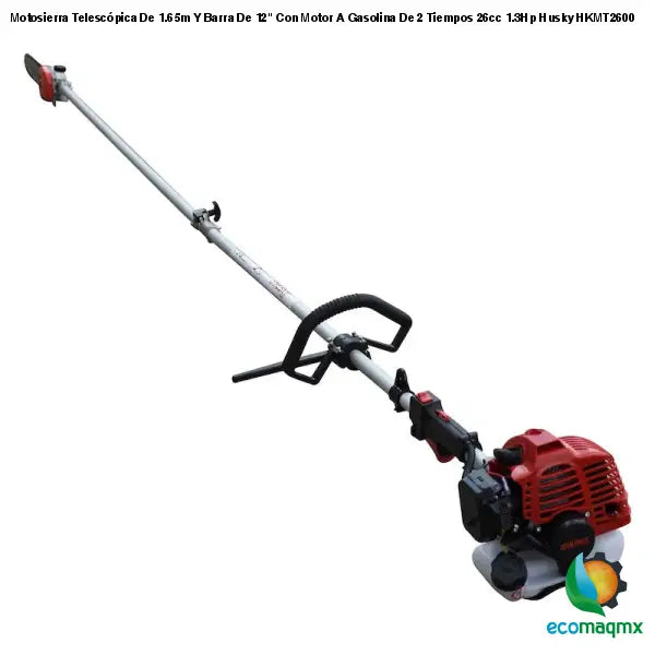 Motosierra Telescópica De 1.65m Y Barra De 12 Con Motor