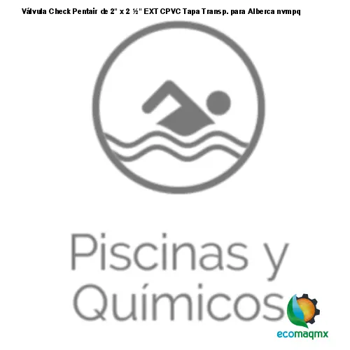 Válvula Check Pentair de 2 x 2 ½ EXT CPVC Tapa Transp. para