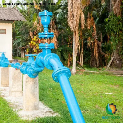 Valvula Expulsora De Aire 1 AB-VEDA100R