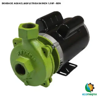 BOMBA DE AGUA ELÉCTRICA RAYKEN 1.5 HP - RBW1500