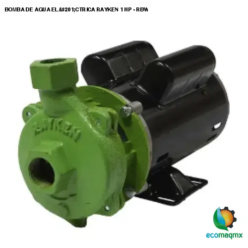 BOMBA DE AGUA ELÉCTRICA RAYKEN 1 HP - RBW1000