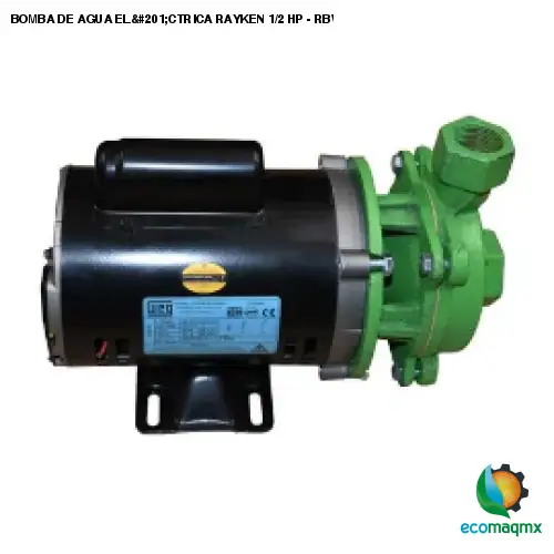 BOMBA DE AGUA ELÉCTRICA RAYKEN 1/2 HP - RBW500