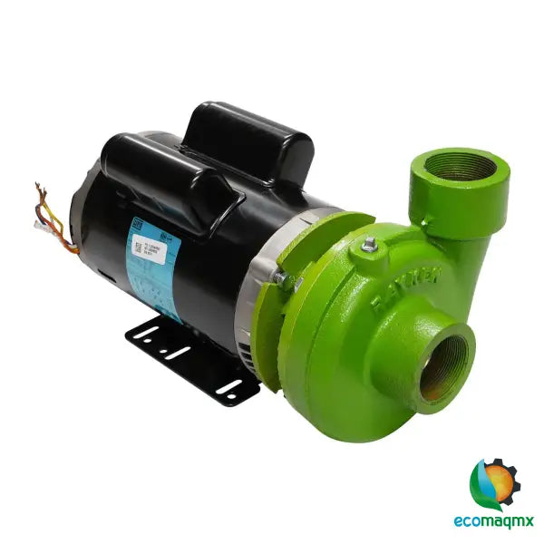 BOMBA DE AGUA ELÉCTRICA RAYKEN 2 HP - RBW2000 - Bomba