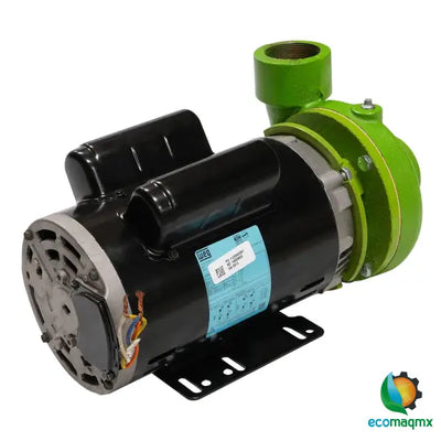 BOMBA DE AGUA ELÉCTRICA RAYKEN 2 HP - RBW2000 - Bomba
