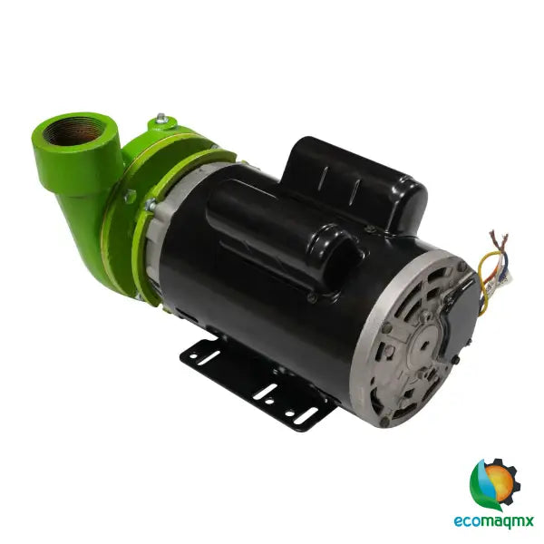 BOMBA DE AGUA ELÉCTRICA RAYKEN 2 HP - RBW2000 - Bomba