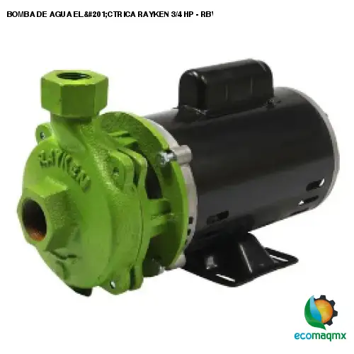 BOMBA DE AGUA ELÉCTRICA RAYKEN 3/4 HP - RBW750