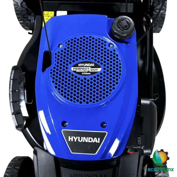 Podadora Profesional Hyundai 6.2 Hp Con Bolsa 20 Pulgadas –