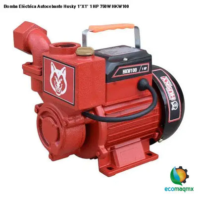 Bomba Eléctrica Autocebante Husky 1X1 1 HP 750W HKW100