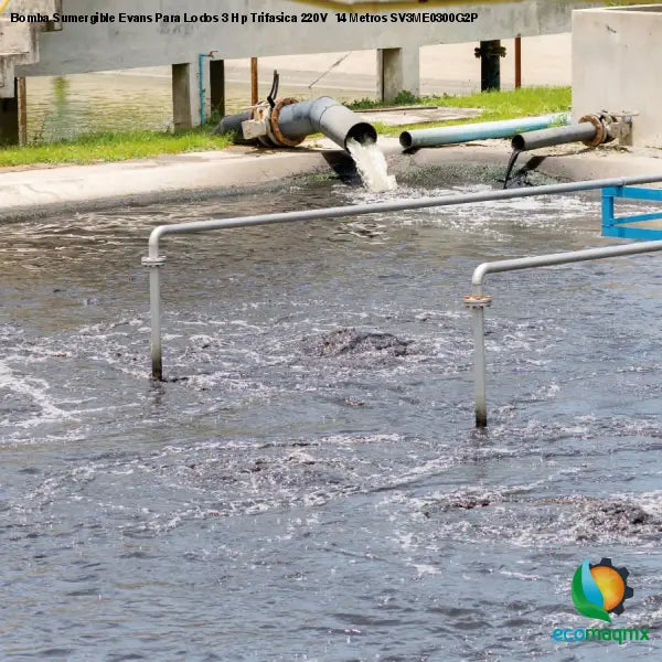 Bomba Sumergible Evans Para Lodos 3 Hp Trifasica 220V 14