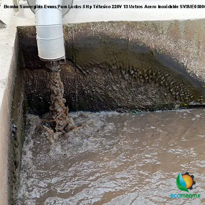 Bomba Sumergible Evans Para Lodos 5 Hp Trifasico 220V 13