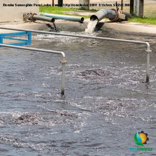 Bomba Sumergible Para Lodos Evans 1 Hp Monofasica 220V 9