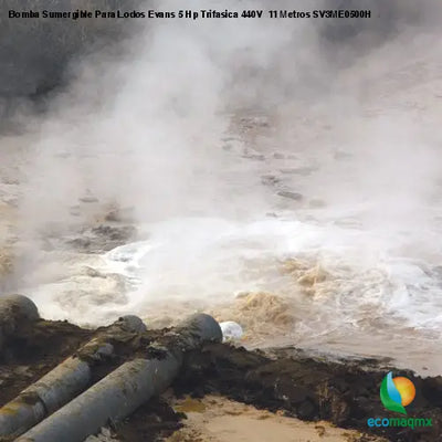 Bomba Sumergible Para Lodos Evans 5 Hp Trifasica 440V 11