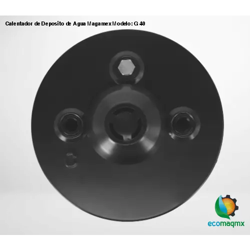 Calentador de Deposito de Agua Magamex Modelo: G 40
