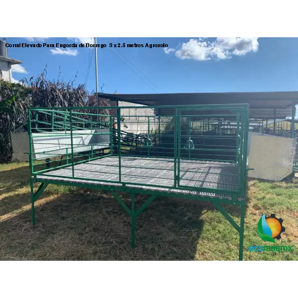 Corral Elevado Para Engorda de Borrego 3 x 2.5 metros