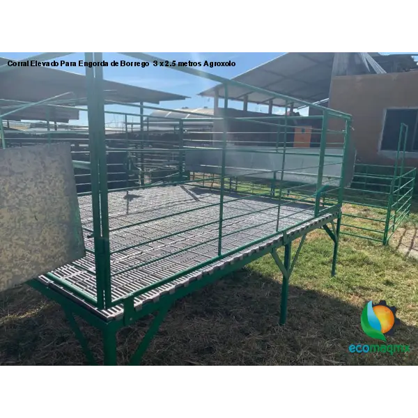 Corral Elevado Para Engorda de Borrego 3 x 2.5 metros