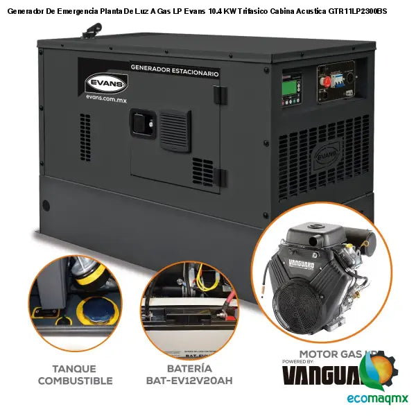 Generador De Emergencia Planta De Luz A Gas LP Evans 10.4 KW