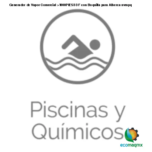 Generador de Vapor Comercial >1000PIES3 3 F con Boquilla