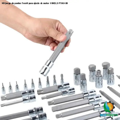 Kit juego de puntas Torx® para ajuste de motor MIKELS