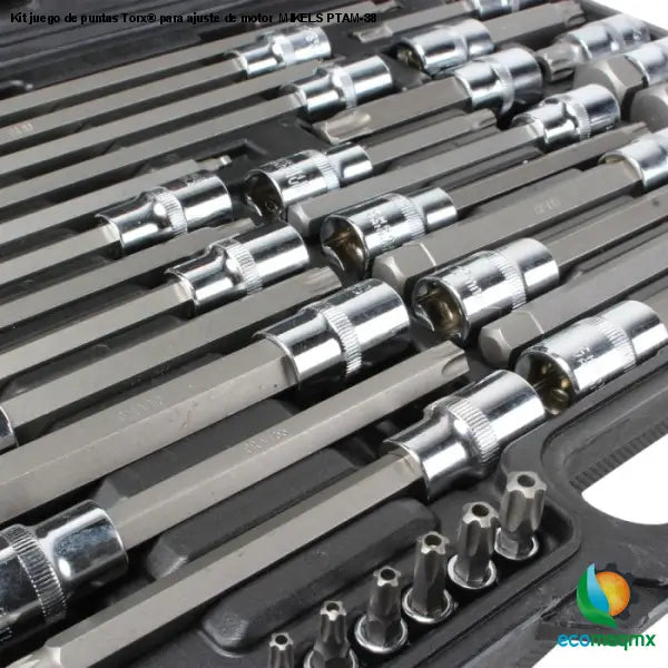 Kit juego de puntas Torx® para ajuste de motor MIKELS