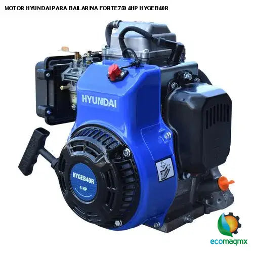 MOTOR HYUNDAI PARA BAILARINA FORTE750 4HP HYGEB40R