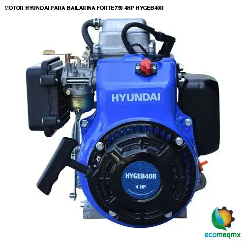 MOTOR HYUNDAI PARA BAILARINA FORTE750 4HP HYGEB40R