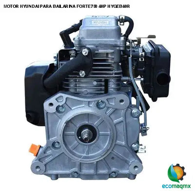 MOTOR HYUNDAI PARA BAILARINA FORTE750 4HP HYGEB40R